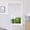 White, variant on Jane Stone No Drill Cordless Roman Shades for Windows, 27" W x 64" H Blackout Window Shades with UV Protection, Privacy Roman Window Blinds for Bedroom Living Room, White (We Customized)