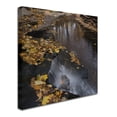 thumbnail image 3 of Trademark Fine Art "Lakeview Autumn Waterfall #2" Canvas Art by Kurt Shaffer, 3 of 4