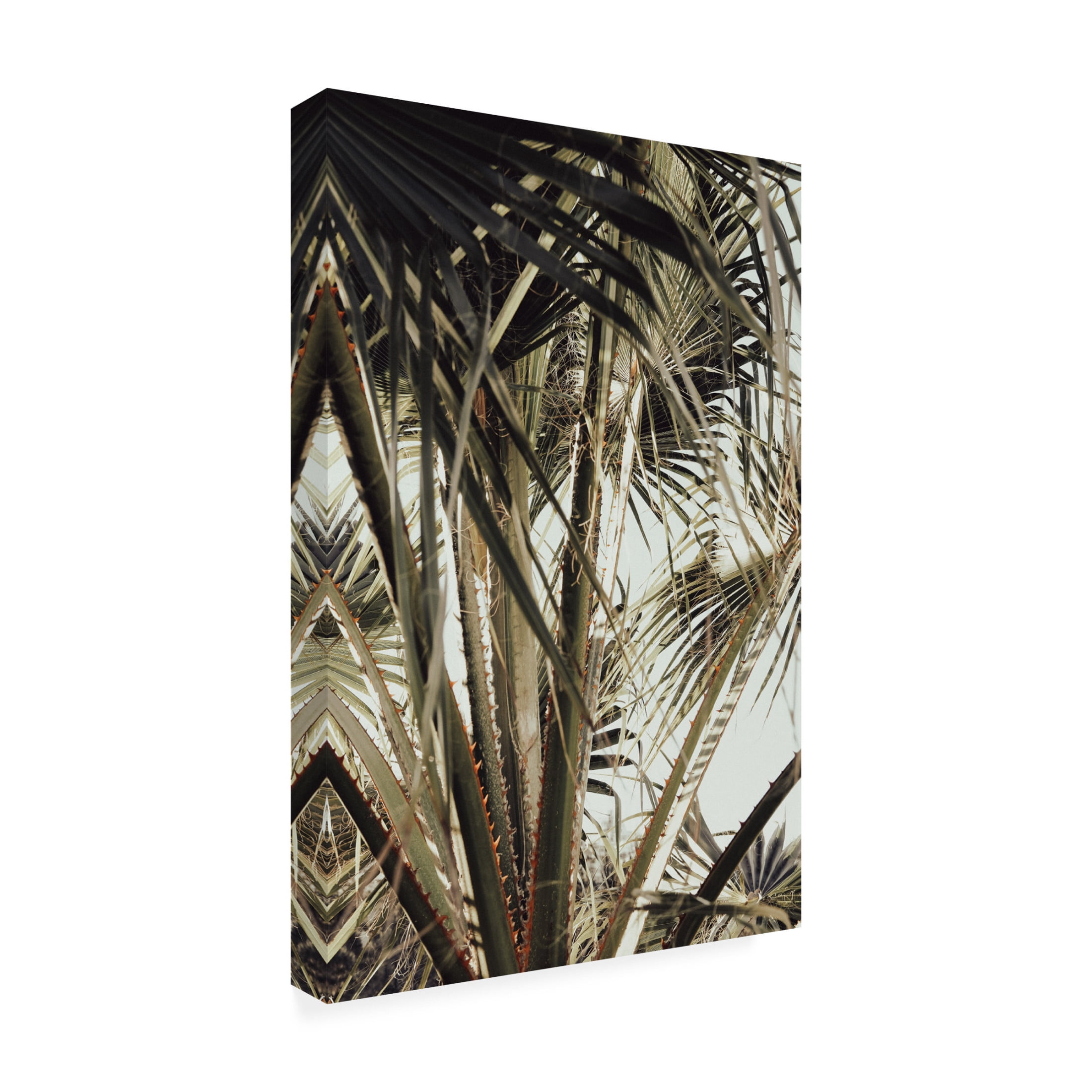 Trademark Fine Art Pictufy Studio Palmblad Canvas Wall Art