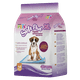 thumbnail image 1 of Tapete Entrenador Soft Pad Xl - 14 Pz Fancy Pets 14 PZ, 1 of 2