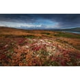 thumbnail image 2 of Howard Liu, Hao 14x11 White Modern Wood Framed Museum Art Print Titled - Denali in Fall color at sunrise-Wonder Lake Camping Ground, 2 of 4