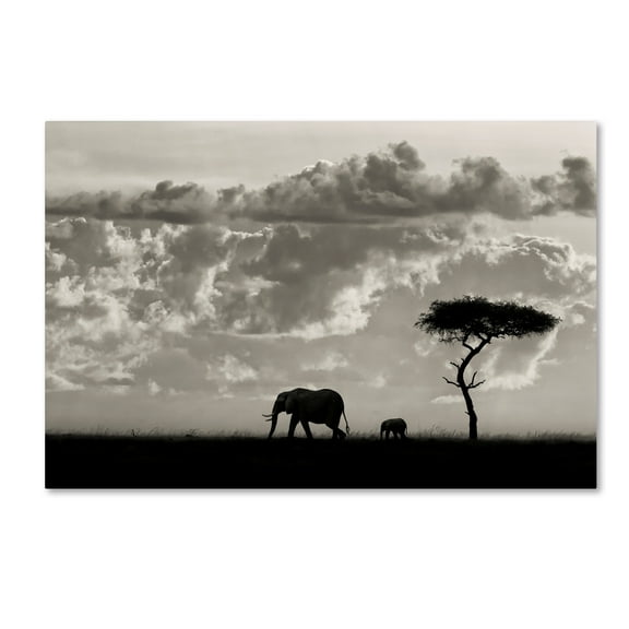 Trademark Fine Art 'Silhouettes Of Mara' Canvas Art by Mario Moreno