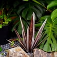 thumbnail image 6 of Large Tequila Rustic Sculpture, Rustic Metal Agave Plants for Outdoor Patio Yard, Home Decor Hand Painted Metal Agave,H, 6 of 8