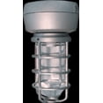thumbnail image 1 of RAB Lighting VAPORPROOF HID CEILING 100W HPS QT HPF 1/2 SILVER WITH GL GLOBE CAST GD, 1 of 1