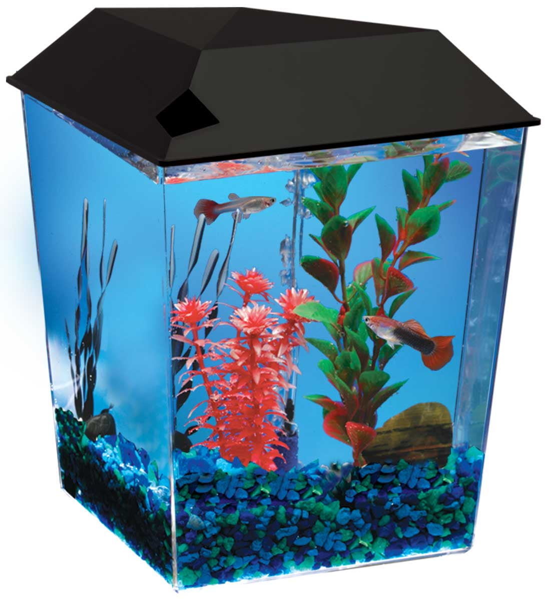 Aqua Culture 1 Gallon Corner Aquarium Kit With Light Hood Com Departments
