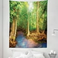 thumbnail image 1 of East Tapestry, Roots of Mangrove Trees Turquoise Creek Nature Wildlife Themed Print, Fabric Wall Hanging Decor for Bedroom Living Room Dorm, 5 Sizes, Green Brown, by Ambesonne, 1 of 1