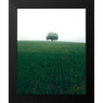 thumbnail image 2 of Lindsten, Christian 12x14 Black Modern Framed Museum Art Print Titled - The Lonely Oak Tree, 2 of 5