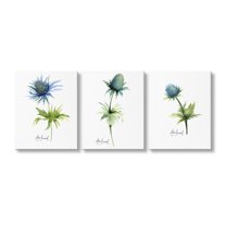 Stupell Industries Thistle Watercolors on White Botanical & Floral Painting Gallery Wrapped Canvas Art Print Wall Art, 16 x 20, Set of 3