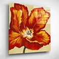 thumbnail image 3 of Epic Art 'Parrot Tulip I' by Tim O'Toole, Acrylic Glass Wall Art, 12"x12", 3 of 7