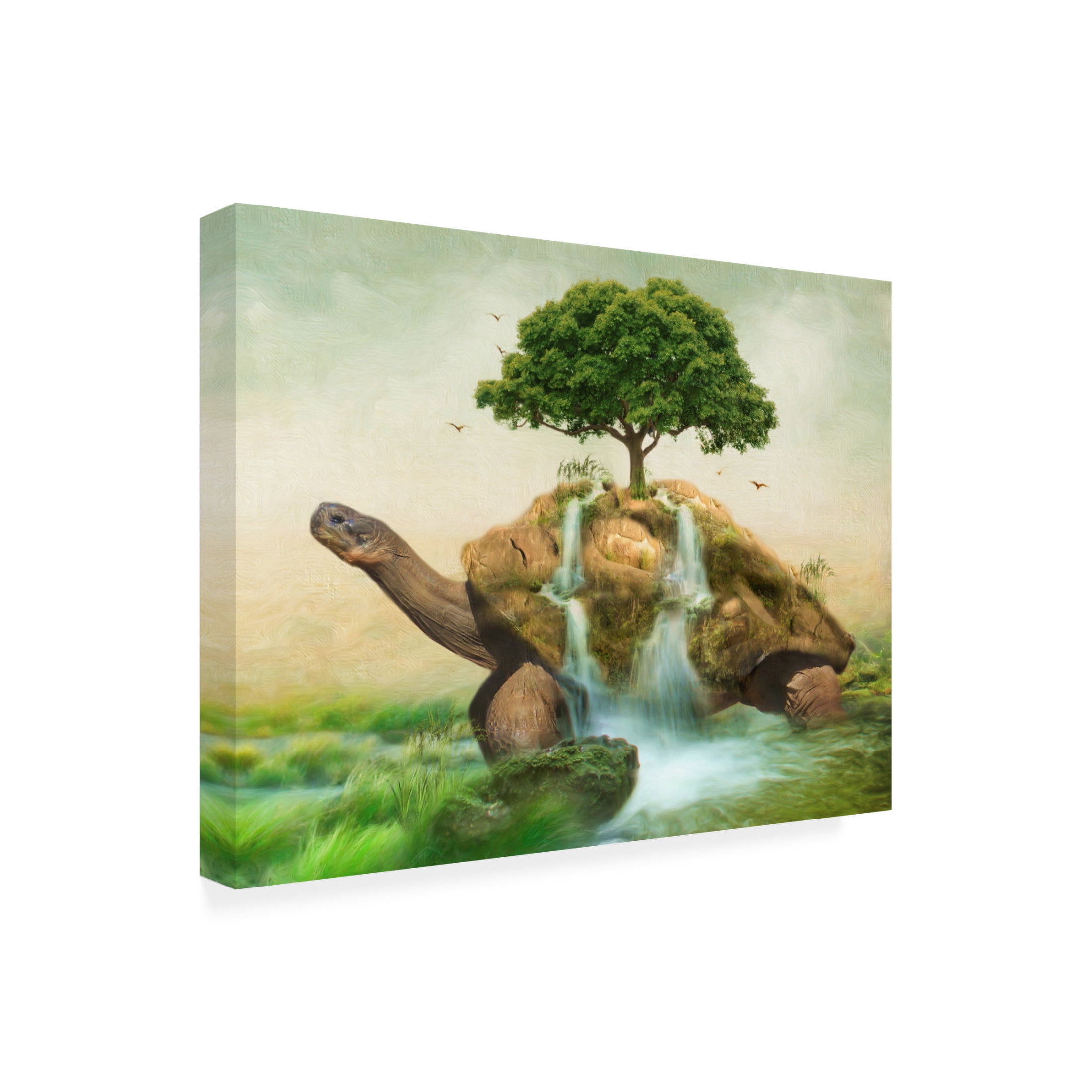 Canvas Wall Art - Trudi Simmonds 'Seeds of Hope Tap' Wall Art for Living Room, Bedroom, or Office Décor by Trademark Fine Art - 47 x 47 Inches