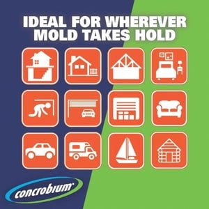 Concrobium Mold Control Mold Inhibitor