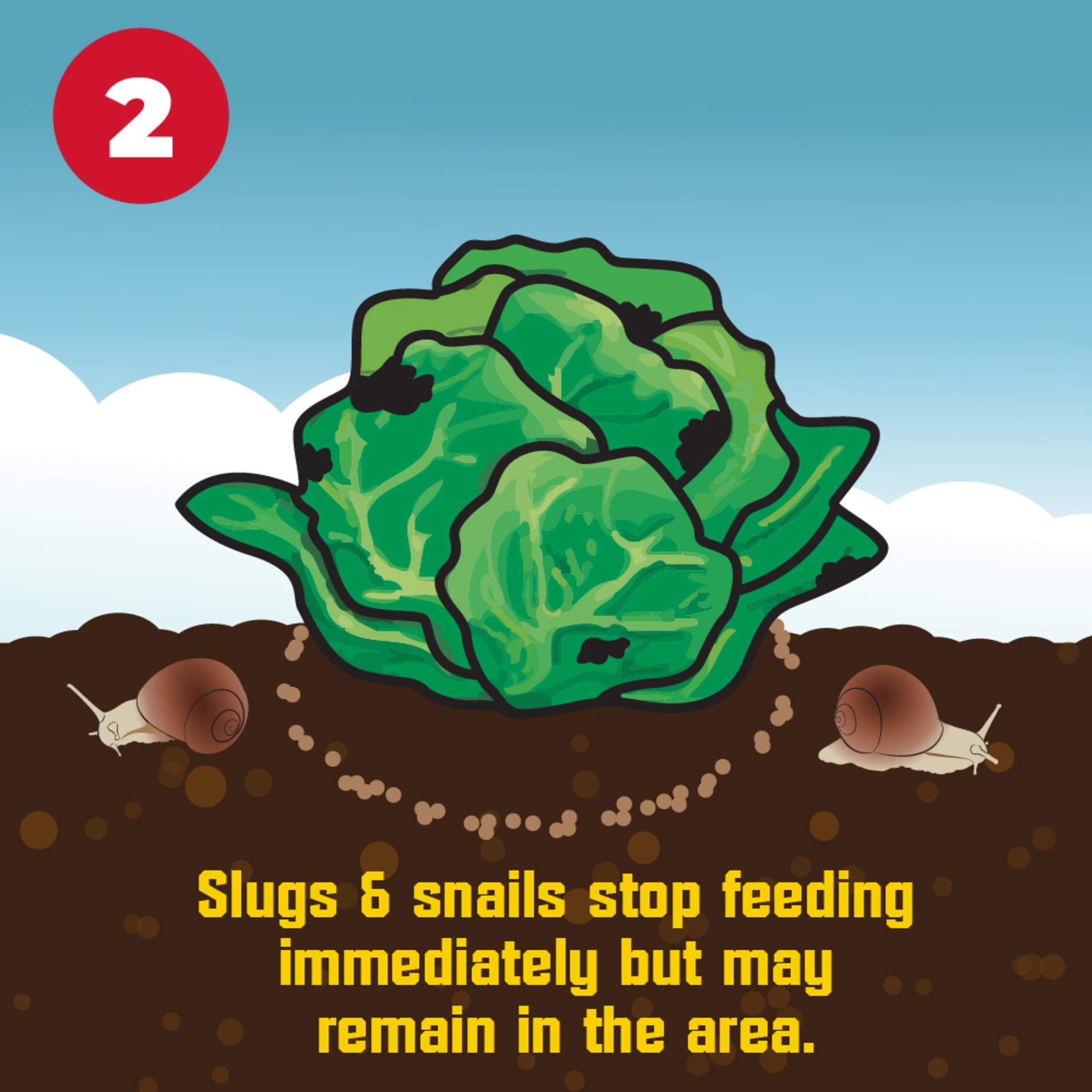 Corry's Ready-to-Use Pellets Slug and Snail Killer, 1.75 lbs.