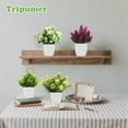 thumbnail image 2 of Semfri 4Pack Small Fake Plants with Pots -Artificial Flowers Indoor Greenery for Living Room, Office, Home Decor, 2 of 5