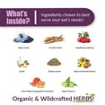 thumbnail image 4 of Amber NaturalZ HWF for Dogs | Supports a Healthy Heart & Natural Purification Processes | 16oz, 4 of 7