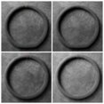 thumbnail image 4 of Housse de Volant en Suède Ultra-Mince Antidérapante en Forme de D, Ajustement Toutes Saisons, Design Ergonomique, Résistant aux Hautes Températures, 4 of 8
