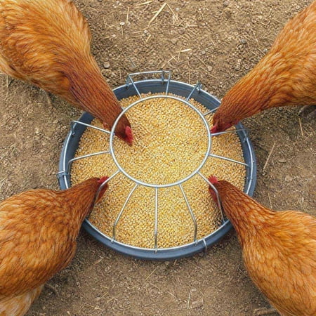 EGYMEN Poultry Feeding Trough, Large Capacity Poultry Feeder with Protective Metal Guard, Sturdy Chicken Feed Dispenser for Convenient Use, Easy to Clean Poultry Feeding Solution