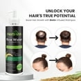 thumbnail image 5 of (5 pack) Herbishh Rice Water Hair Growth Shampoo - 400ml with Power of Castor Oil, Argan & Coconut Oil & Biotin | All Hair Type | Hair regrowth for Thinning Hair, Moisturizing & Volumizing | Silicone Free, 5 of 9