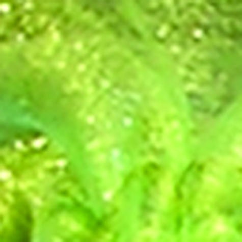 Club Pack of 36 Green Organza Tie Gift Bags 3.5" x 5.5"