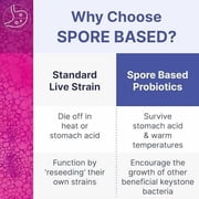 Microbiome Labs MegaSporeBiotic Probiotics for Women & Men - Spore Based Probiotics for Digestive Health - Shelf Stable & Travel-Friendly 60 Capsules