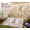 Bunny Blossom, variant on Garden Wall Stencil – Reusable Diy Kit For Walls, Reusable DIY Painting Template, Nature Floral Series, Durable PET Plastic, Outdoor Fence Patio Decoration, 1 Pack