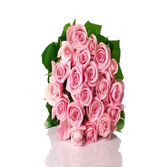 KaBloom : 50 Pink Roses (Long Stem - 50cm) - Farm Direct Wholesale Fresh Flowers