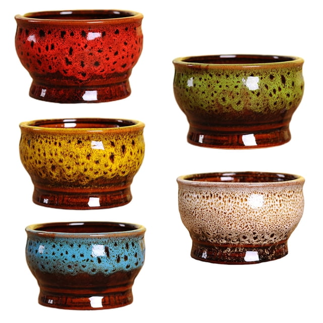 5 macetas pequeñas para suculentas, cactus y flores.