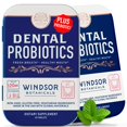thumbnail image 2 of Dental Probiotics for Teeth and Gums - Oral Probiotics for Mouth Bad Breath - 3BN CFU Lactobacillus Salivarius Tablets Paracasei Rhamnosus Streptococcus - 90 Chewable Dental Pro, 2 of 8