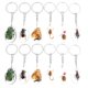 thumbnail image 1 of 12pcs del insecto del espécimen llavero real de insectos muestras colgantes delicado Insectos Ámbar Decoraciones, 1 of 8