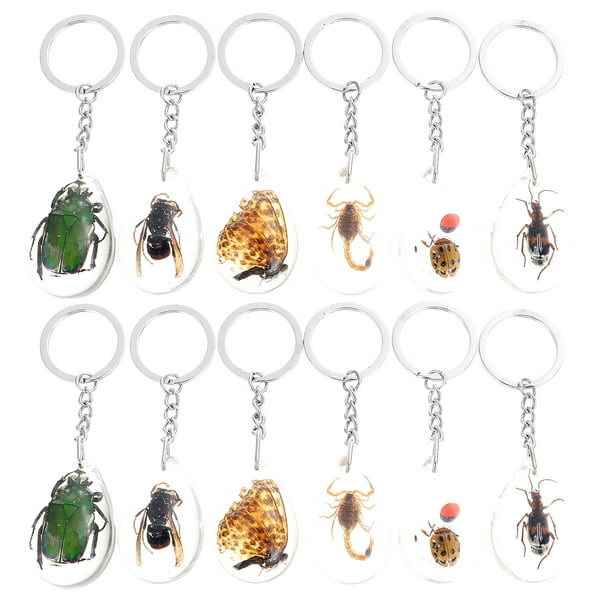 12pcs del insecto del espécimen llavero real de insectos muestras colgantes delicado Insectos Ámbar Decoraciones