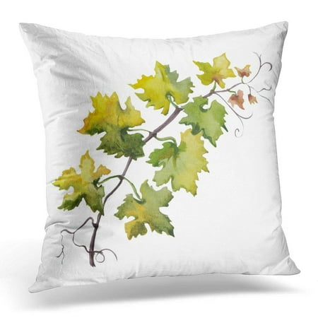 Punch Grape Leaf - CMFUN Green Watercolour Watercolor of Grape Leaf Raster Design on White Vine Pillow Case Pillow Cover 20x20 inch