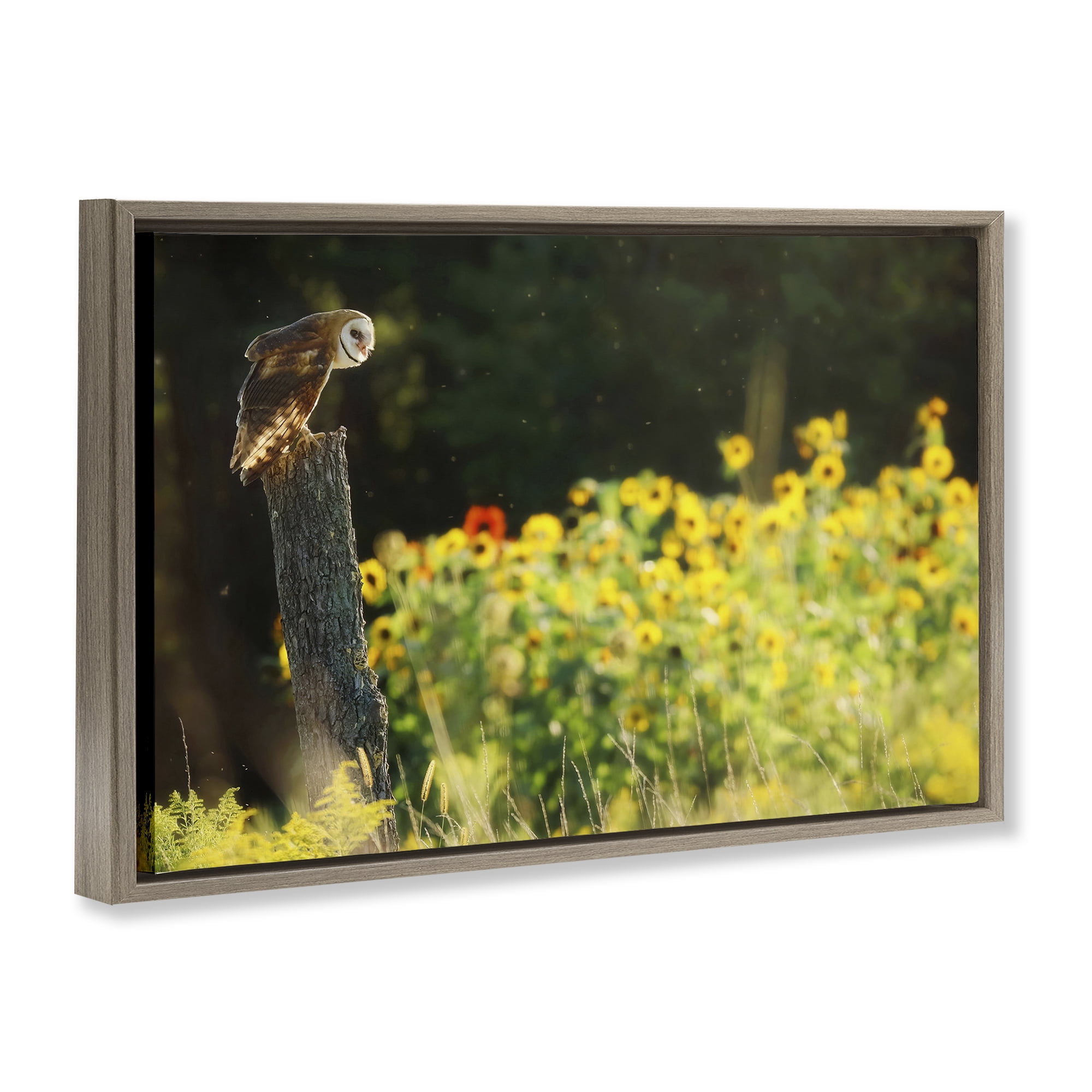 Stupell Industries Owl Perched in Meadow Landscape Photography Brown Floater Framed Canvas Art Print Wall Art, 25 x 17