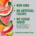 thumbnail image 5 of V8 +Energy Limited Edition Summertime Watermelon Juice Energy Drink, 8 fl oz Can (6 Pack), 5 of 5