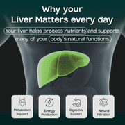 Liverite Liver Aid 90 Tablets -Advanced Liver Support with 17 Amino Acids, Choline and Phospholipids, Supports Healthy Liver Function and Metabolism, Natural Cleansing and Digestion.