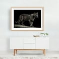 thumbnail image 5 of Portrait of a puma 02 - Photography Wildlife Animal Nature Cat Jungle Oak Framed Wall Art Print 16 x 24 inches, 5 of 6