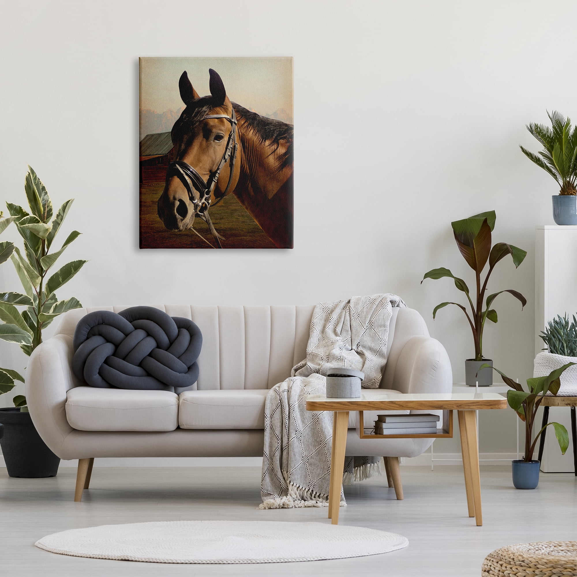 Stupell Industries Brown Horse Portrait Animals & Insects Photography Gallery Wrapped Canvas Art Print Wall Art, 30 x 40