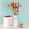 thumbnail image 3 of 30Pack Dried Amaranth Flowers Arrangement,QZS Portable Dried Globe Amaranth Naturally for Home Decor,Dry Globe Flower for Party,Home Decor,Orange, 3 of 6