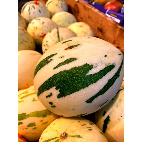 10 Snowball Melon Seeds | Hard to Find- Ships from Iowa, USA - Snow Leopard Melon Seeds