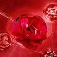 thumbnail image 4 of Rose Eye Eye Morning C Evening A Day and Night Light Line Eye for Staying Up Late, 4 of 8