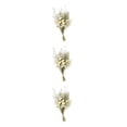 thumbnail image 3 of Yuarrent Dried Flowers Bouquet Dried Plants Flower Decor  Ornament  Wedding Type1, 3 of 6
