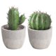 thumbnail image 1 of 2 piezas de cactus artificiales en maceta para decorar el escritorio., 1 of 7