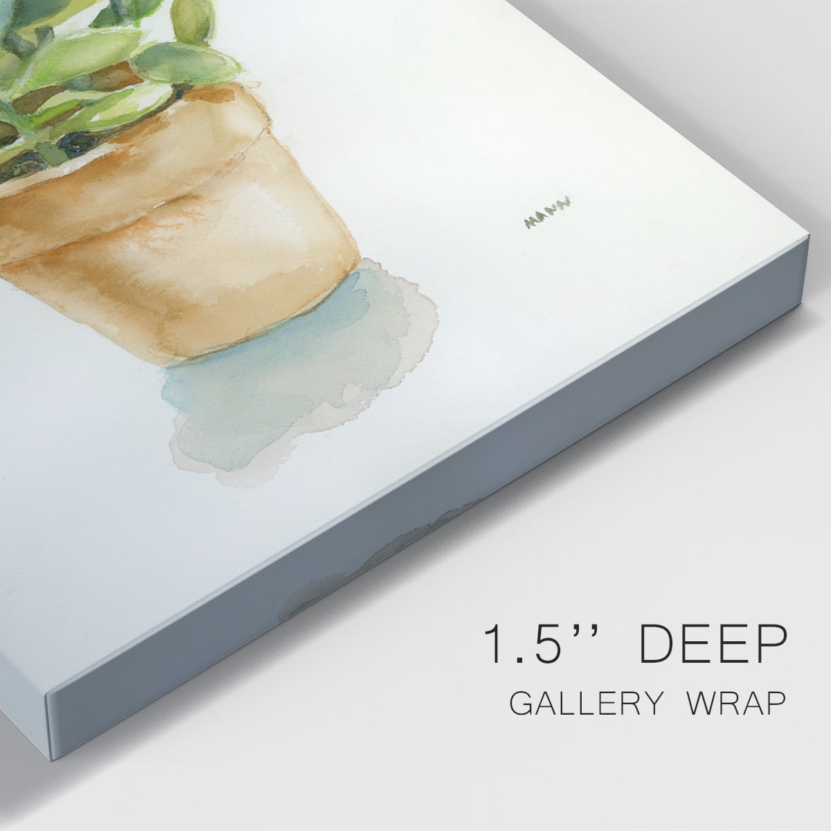 Succulent I Premium Gallery Wrapped Canvas - Ready to Hang