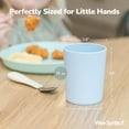thumbnail image 3 of WeeSprout Bamboo Toddler Cups, Organic & Non-Plastic Cup for Big Kids or Baby, 10 oz, Set of 4, 3 of 8