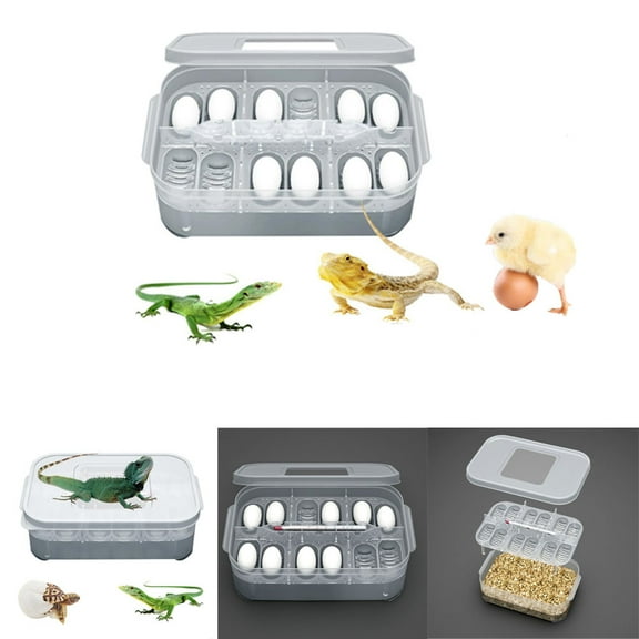 Cheers.US Egg Incubator Temperature Control Device Incubation for Heat Preservation and Mini 12 Egg Incubator Breeder for Chicken, Ducks, Birds