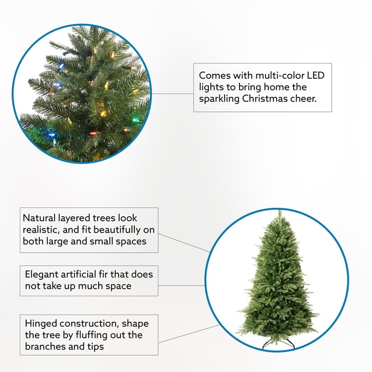 Real Christmas Trees With Lights