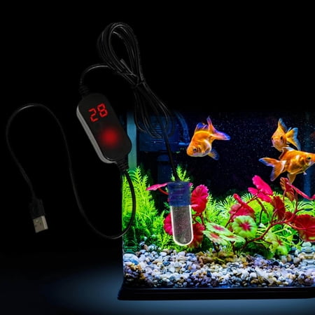 Goldfish Tank Temperature Control For Aquarium Wellbeing preview