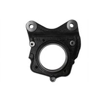 Rear Driver Side Brake Caliper Bracket