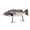 A, variant on Rechargeable Robotic Fishing Lure 5.1 Inch with LED Lights and Joint Swimming Action for Freshwater C