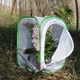 thumbnail image 7 of 2-Pack Insect and Butterfly Habitat Cage, 7 of 7