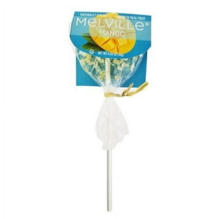 Melville Candy Company Paint Brush Lollipop
