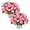Salmon, variant on Live Flowering New Guinea Impatiens - Harmony Orange Star (2 Plants Per Pack) - Beautiful Flowering Shade Flowers - 12" Tall by 5" Wide in 1 Qt Pot